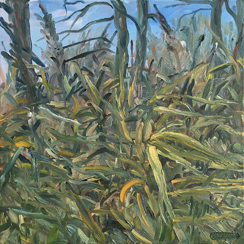 Autumn reeds, Chew Lake 2017 by Stuart Nurse