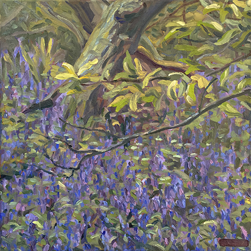 Bluebells, April 2017 by Stuart Nurse