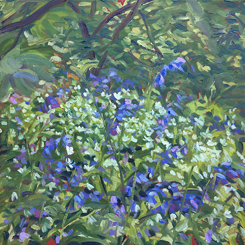 Bluebells and Wild Garlic May 2017 by Stuart Nurse