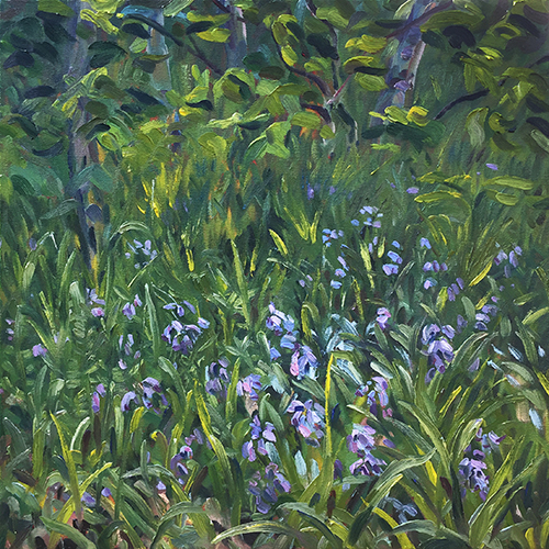 Bluebells on a bank, 2018 by Stuart Nurse