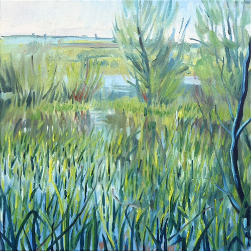 New shoots, Blagdon Lake, April 2019 by Stuart Nurse