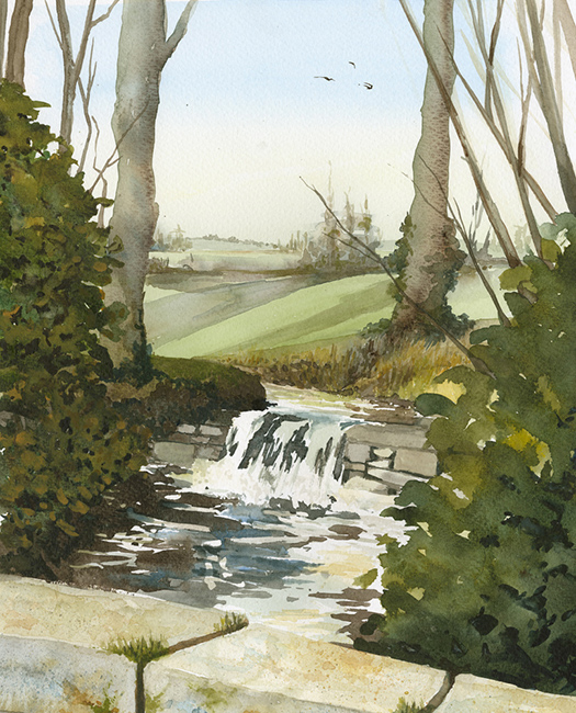 Stream at Great Chalfield by Julia Vaughan